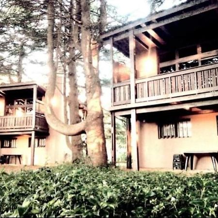 Posta Chimango, Cabañas frente al Golf Los Acantilados Mar del Plata Exterior foto