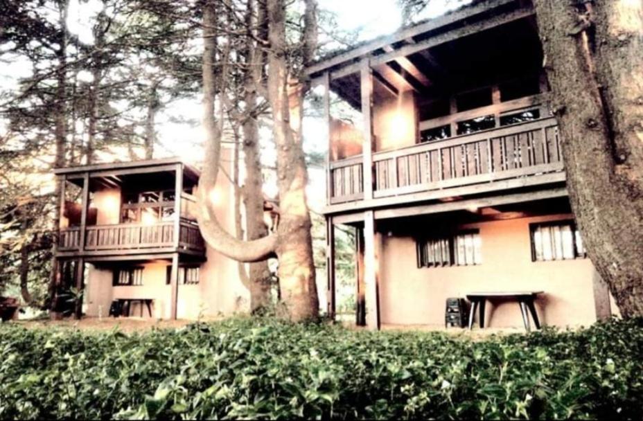 Posta Chimango, Cabañas frente al Golf Los Acantilados Mar del Plata Exterior foto