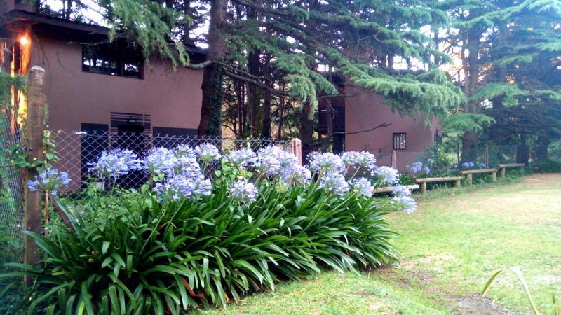 Posta Chimango, Cabañas frente al Golf Los Acantilados Mar del Plata Exterior foto