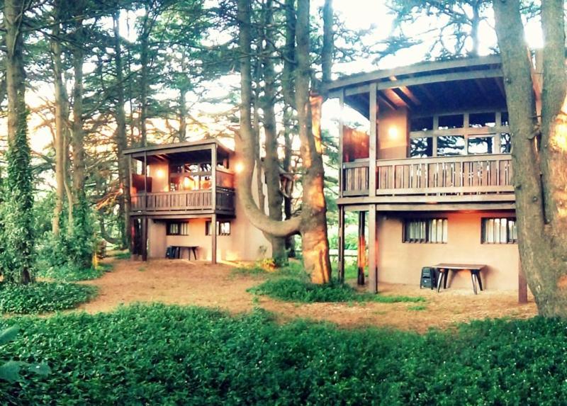 Posta Chimango, Cabañas frente al Golf Los Acantilados Mar del Plata Exterior foto